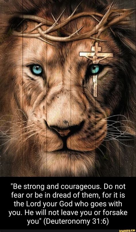 Pin by Sharon Jackson on Inspirations & Motivations | Lion of judah ...