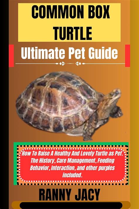 COMMON BOX TURTLE Ultimate Pet Guide : How To Raise A Healthy And ...