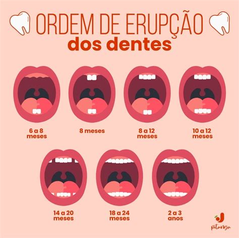 Saiba a partir de que época eles se tornam verdadeiros mordedores ...