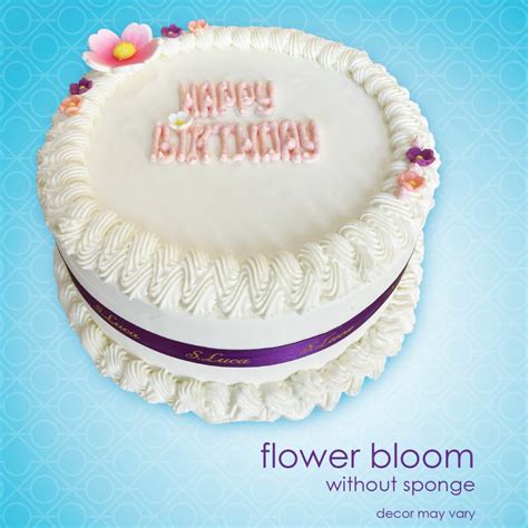 Online Shop - S Luca Ice Cream