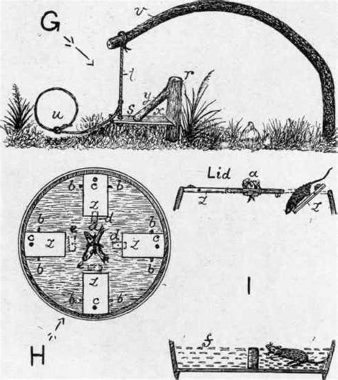 Spring Snare Trigger 的图像结果