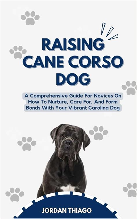 Buy Raising Cane Corso Dog: A Comprehensive Guide For Novices On How To ...