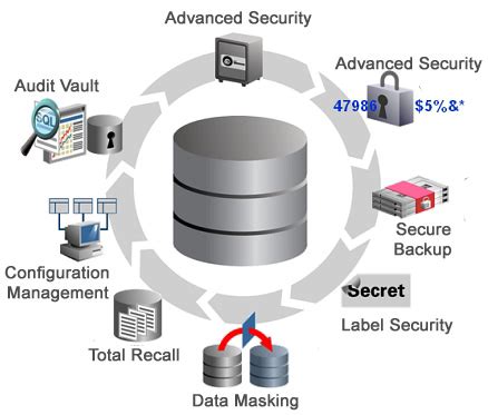 Image result for Oracle Database Security SQL