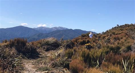 RIMUTAKA RD SUMMIT TRACK AND PYLON TRACK - All You Need to Know BEFORE ...