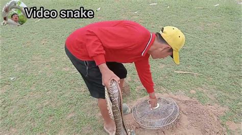 How to Make a Snake Trap Easy 的图像结果