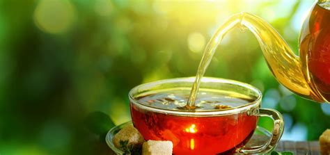 Gourmet Tea, Pure Indian Tea - Premier's Tea