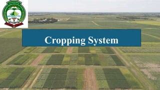 Image result for Cropping System Types