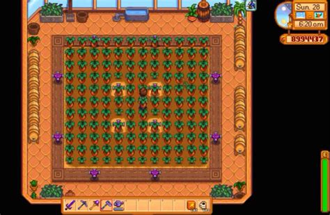 Stardew Valley: Sweet Gem Berry Locations & Uses - FandomSpot