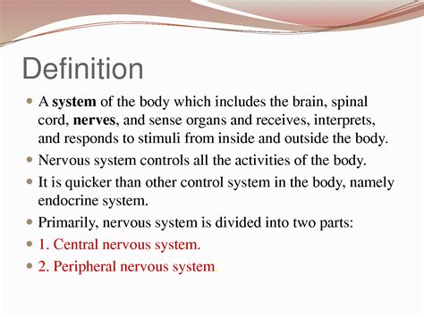 Image result for Nervous System Classification