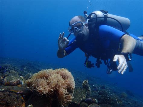 TWO FISH DIVERS AMED (2026) All You Need to Know BEFORE You Go (with ...