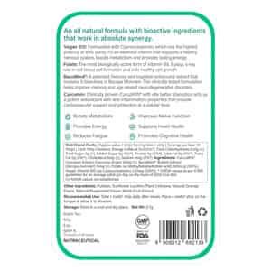 Buy WELLBEING NUTRITION MELTS VEGAN VITAMIN B12 + FOLATE FOR MOOD ...