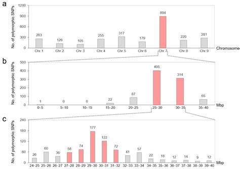 Fine-Mapping of a Red-Skinned Taproot Gene in Radish (Raphanus sativus L.)