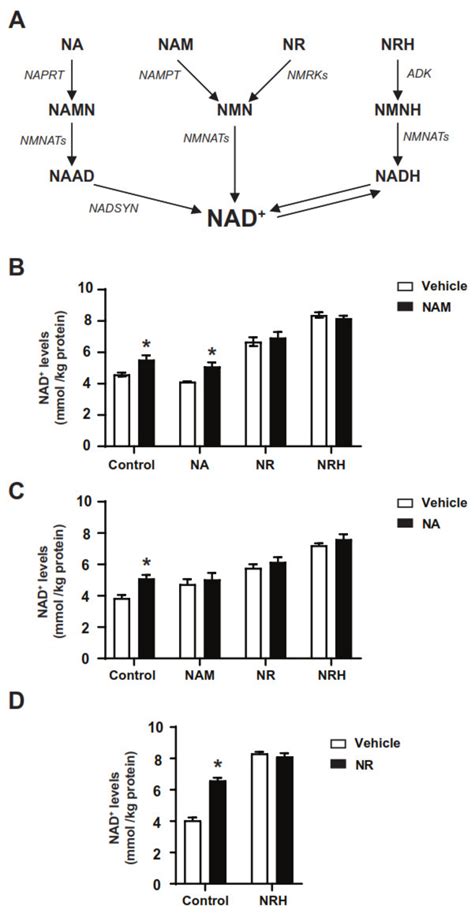 Nicotinamide Riboside and Dihydronicotinic Acid Riboside ...