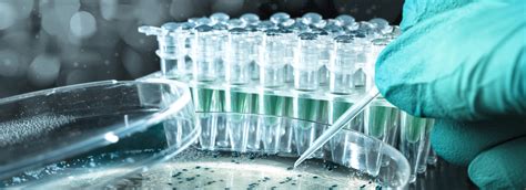Biotechnology company in Kerala offering Biotechnology research services