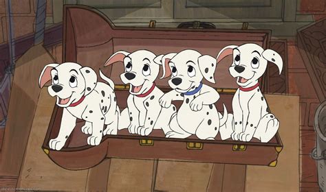 101 dalmatians, Comedy, Adventure, Family, Dog, Puppy, 100, Dalmatians ...
