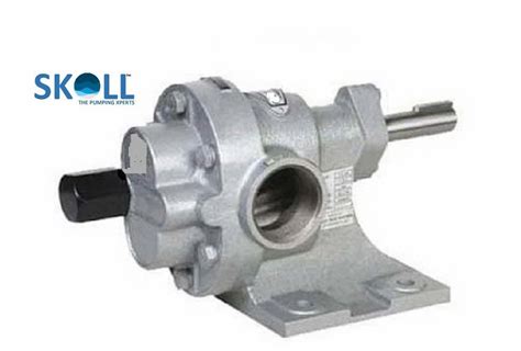 Rotary Gear Pump - SKOLL Rotary Gear Pump Manufacturer from New Delhi