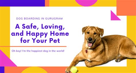 Dog Boarding in Gurugram | Cage-Free & Safe Pet Boarding – Dora’s Den