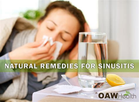 Sinusitis Herbal Medicine Treatment at Pamela Walsh blog