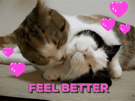 Feel Better Get Well Soon GIF by chuber channel - Find & Share on GIPHY