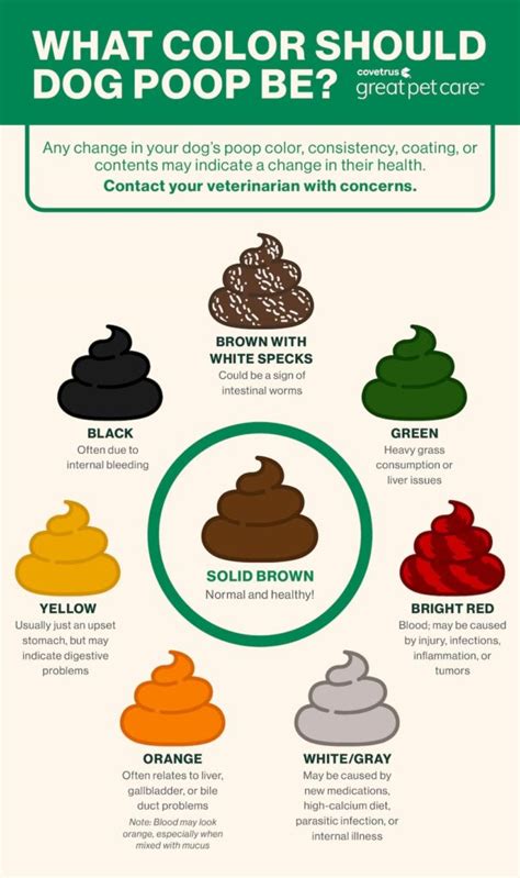 Image result for How Do Dogs Poop