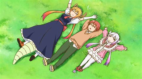 Download A Group Of Anime Characters Laying On The Grass Wallpaper ...