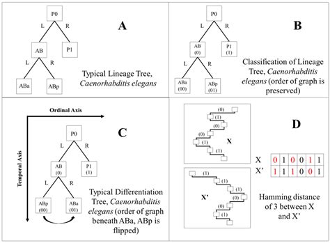 Quantifying Mosaic Development: Towards an Evo-Devo Postmodern ...