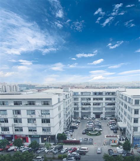 Image result for Ginto Promo Code