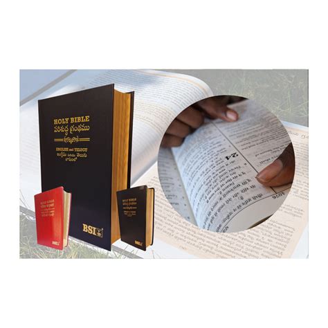 Embracing the Journey: A Yearlong Adventure with the Bilingual Holy Bi ...