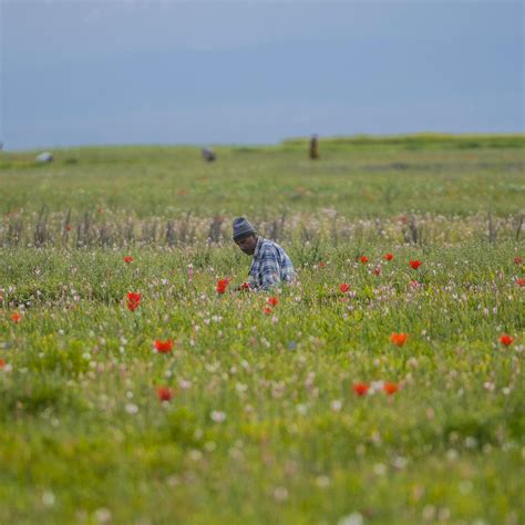 Global South Hardest Hit by Supply Chain Disruptions in Agriculture ...