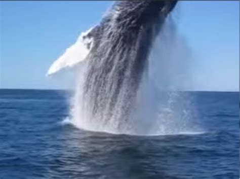 Image result for Unity Splash Texture Particle