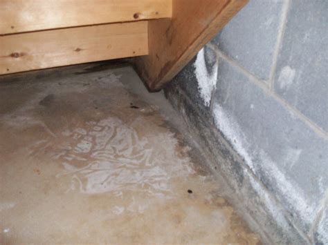 How To Tell If Basement Is Leaking - Openbasement