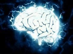 Study reveals how our brains track where we and others go