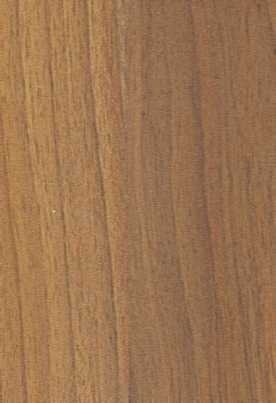 Buy Century Prowood MDF - 655 - Lyon Walnut at Best Prices – KYZO