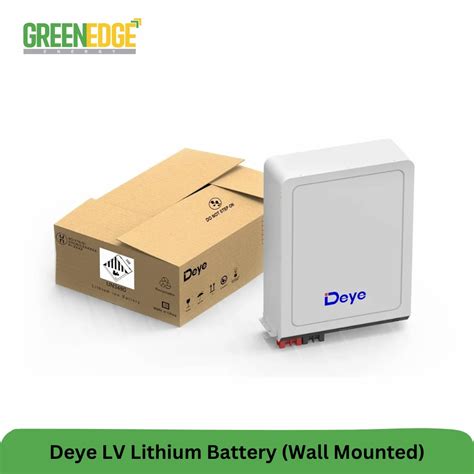 Deye- Energy Storage Systems Battery - Deye Lithium Ion Battery For ESS ...