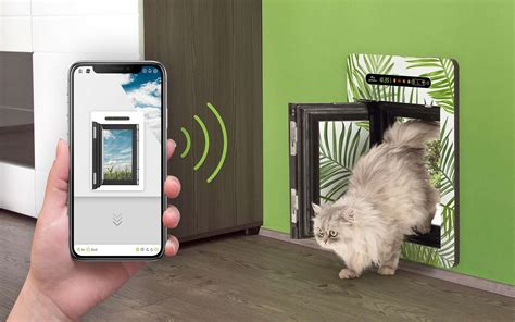 The Best Smart Dog Doors That You'll Love - All Home Robotics