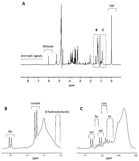 Unraveling the Rewired Metabolism in Lung Cancer Using Quantitative NMR ...