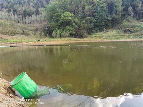 颜家河_颜家河钓鱼攻略_颜家河可以钓鱼吗 - 钓鱼人