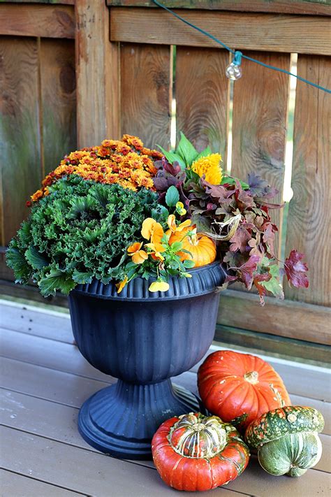 Fabulous Fall Planter Ideas - Container Garden Photos, Tips & Inspiration