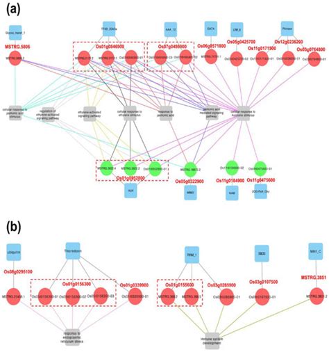 Agronomy | Special Issue : Phytoalexins, Resistance Inducers, and ...