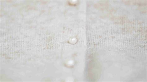 Image result for Angora Goat Wool