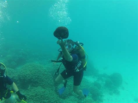 Dive N' Smile Bora-Bora (Vaitape) - All You Need to Know BEFORE You Go