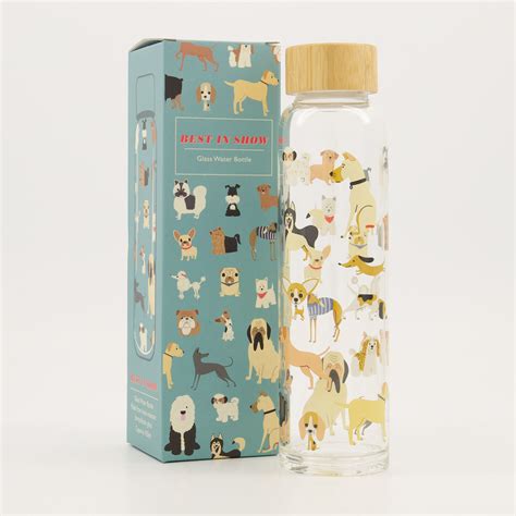 Clear Reusable Best in Show Glass Water Bottle 420ml - TK Maxx UK