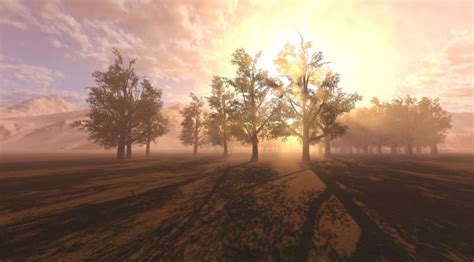 Image result for Unity Making Super Realistic Environment
