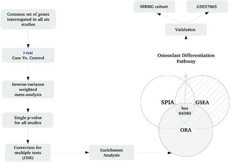Image result for Workflow of First Level Analysis