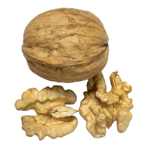 Chilean Akrot Walnut Kernels (Akhrot Giri), 500g | Grade-1 ...