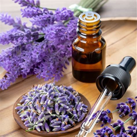 OS English Lavender Oil Manufacturers and Suppliers from Delhi