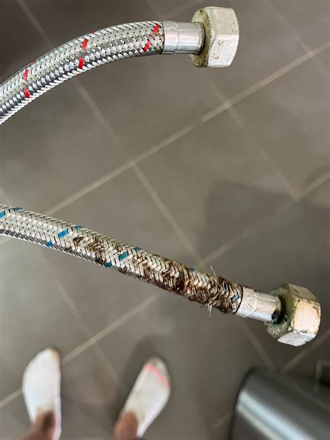 Best Practices to Prevent Burst Flexi Hoses Near Sydney