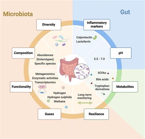 What defines a healthy gut microbiome? | Gut