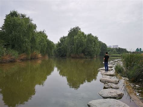 2022西安浐灞国家湿地公园-旅游攻略-门票-地址-问答-游记点评，西安旅游旅游景点推荐-去哪儿攻略