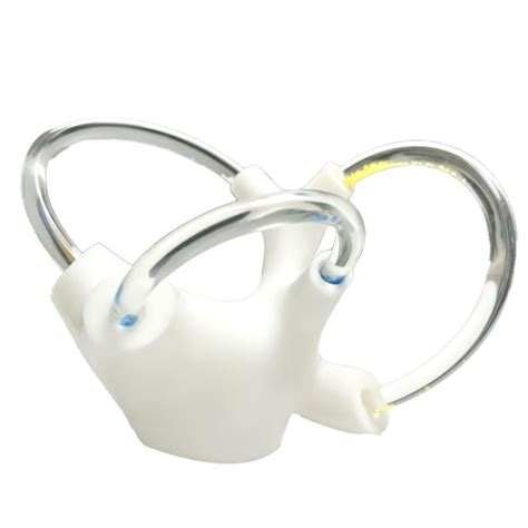 DHBEIMEI Human Ear Semicircular Canal Model – 5X Cochlea India | Ubuy